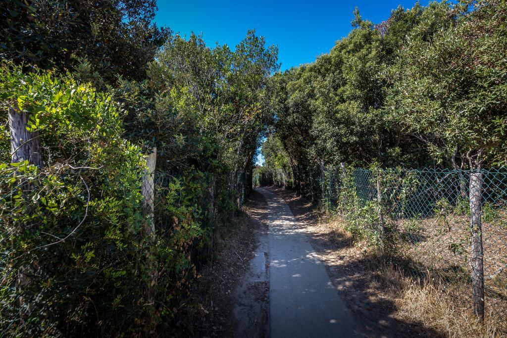 Camping Internazionale Etruria Castiglione della Pescaia Exteriör bild
