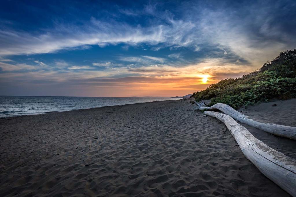 Camping Internazionale Etruria Castiglione della Pescaia Exteriör bild
