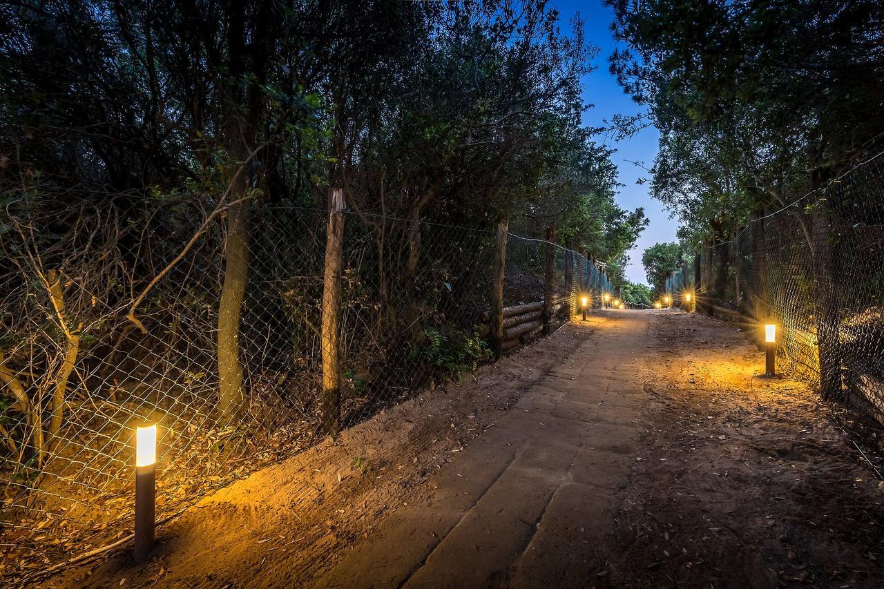 Camping Internazionale Etruria Castiglione della Pescaia Exteriör bild