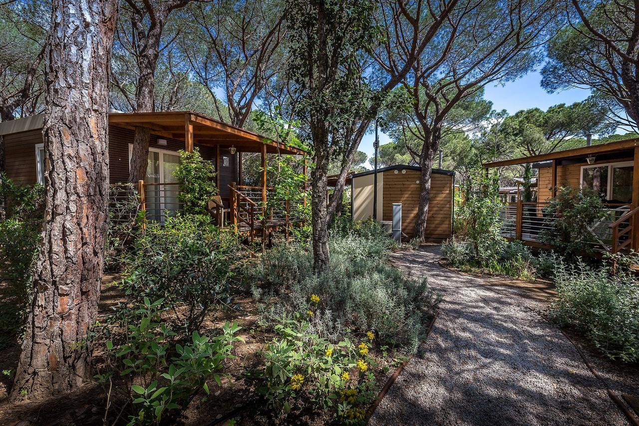 Camping Internazionale Etruria Castiglione della Pescaia Exteriör bild