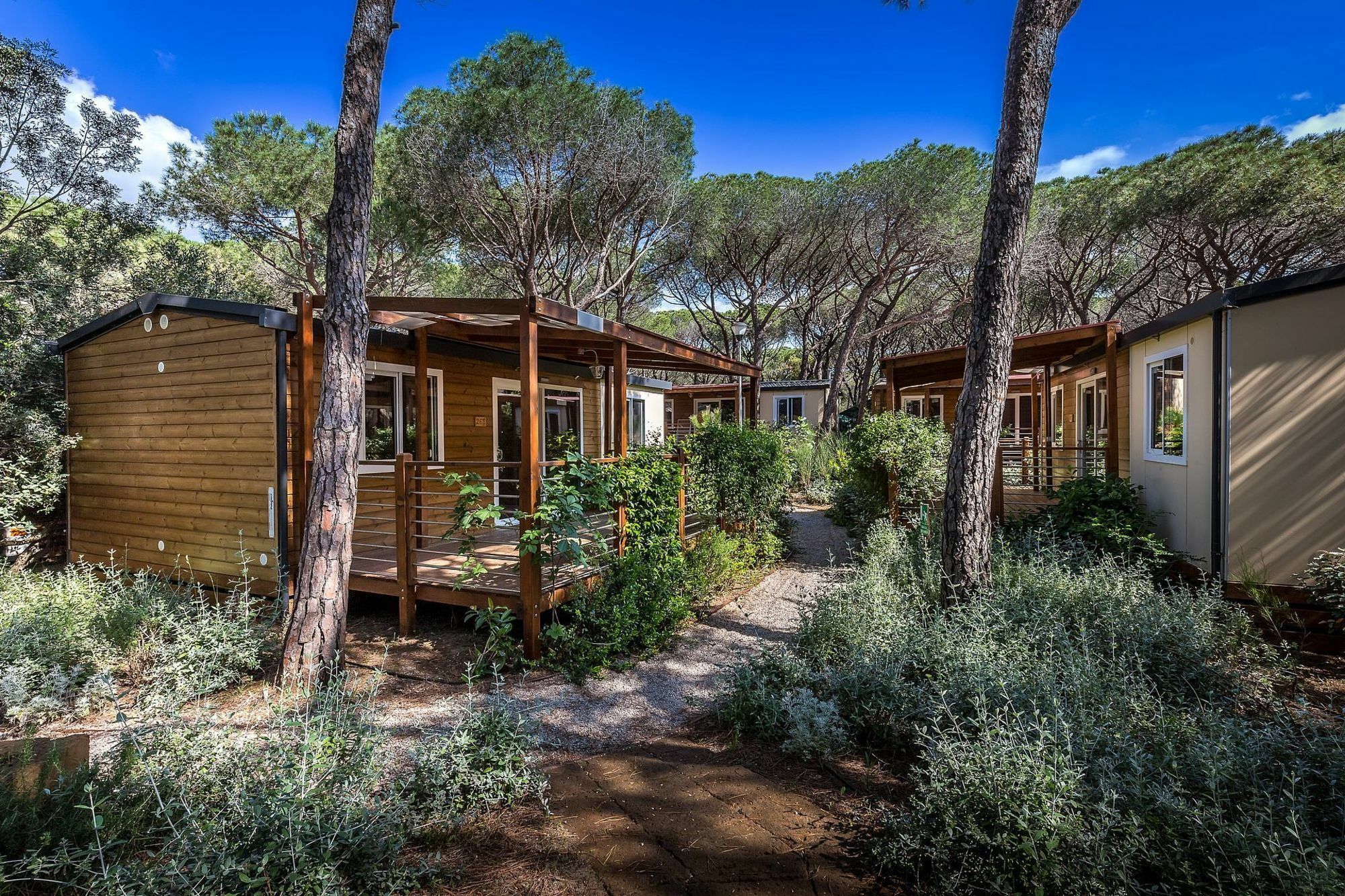 Camping Internazionale Etruria Castiglione della Pescaia Exteriör bild